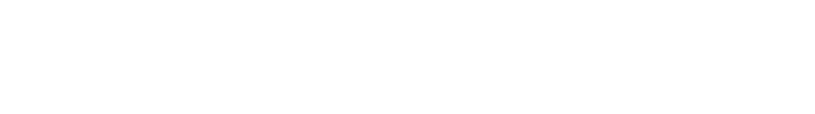 Velocity Risk Logo