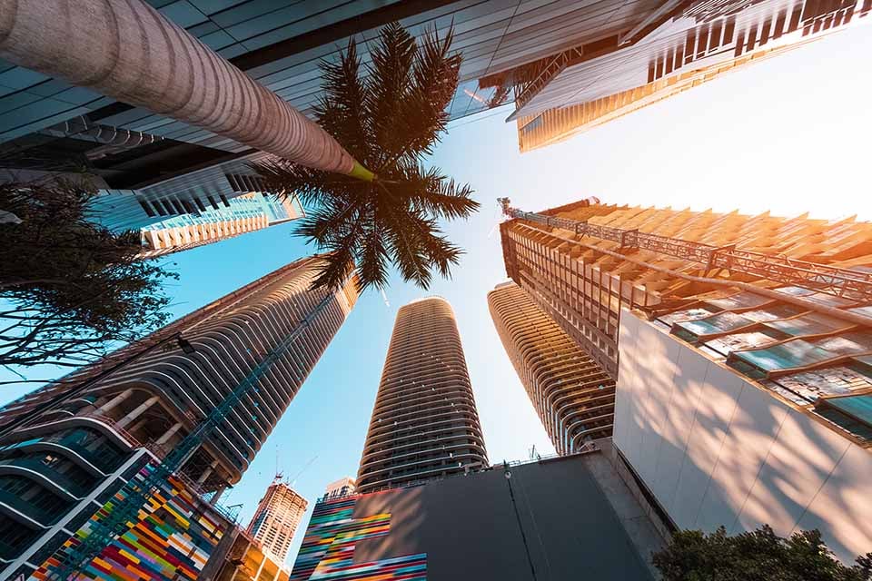 Low perspective view of palm tree and skyscrapers in Miami, Florida